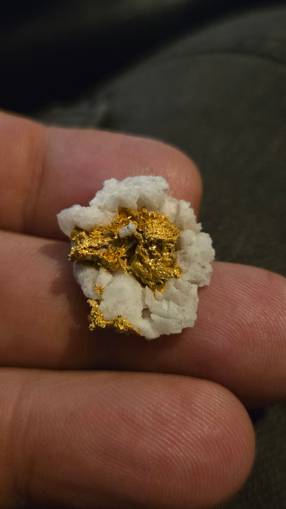 Self collected 4.71 grams gold and quartz from Californias Motherlode Vein