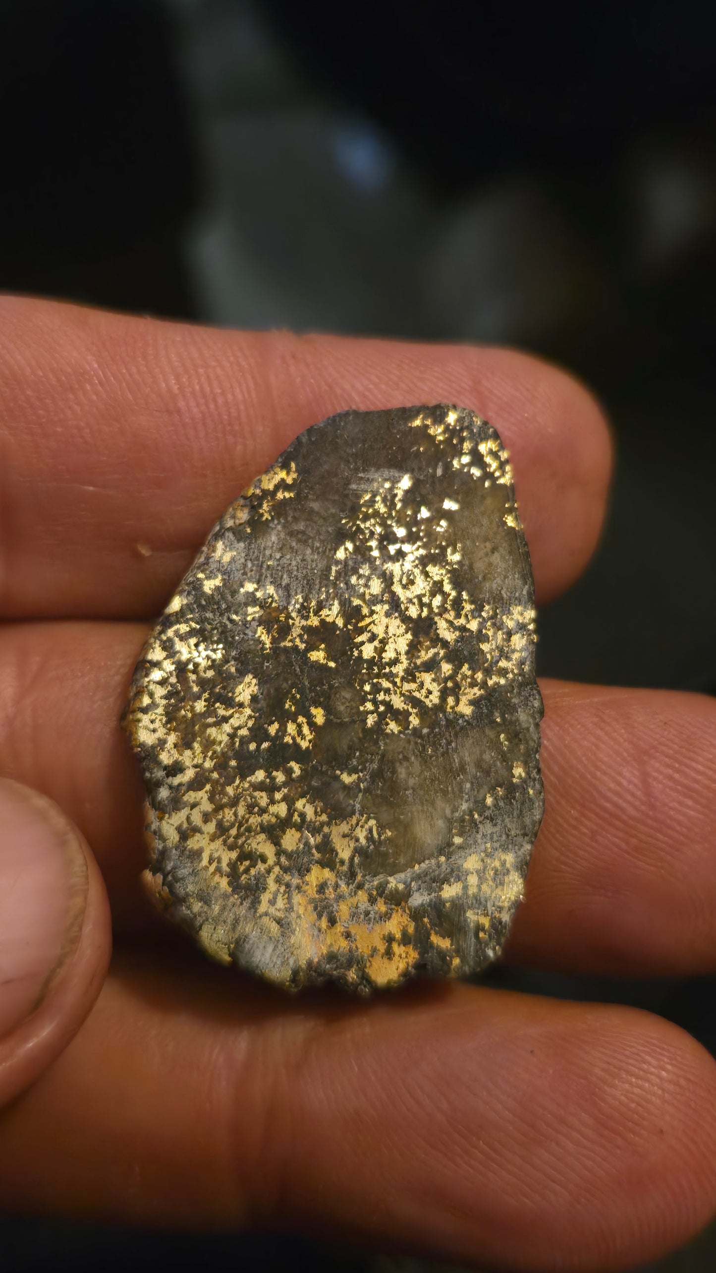 Oregon Gold-in-Quartz Slab - Chemically Enhanced Black Matrix 10.69 grams