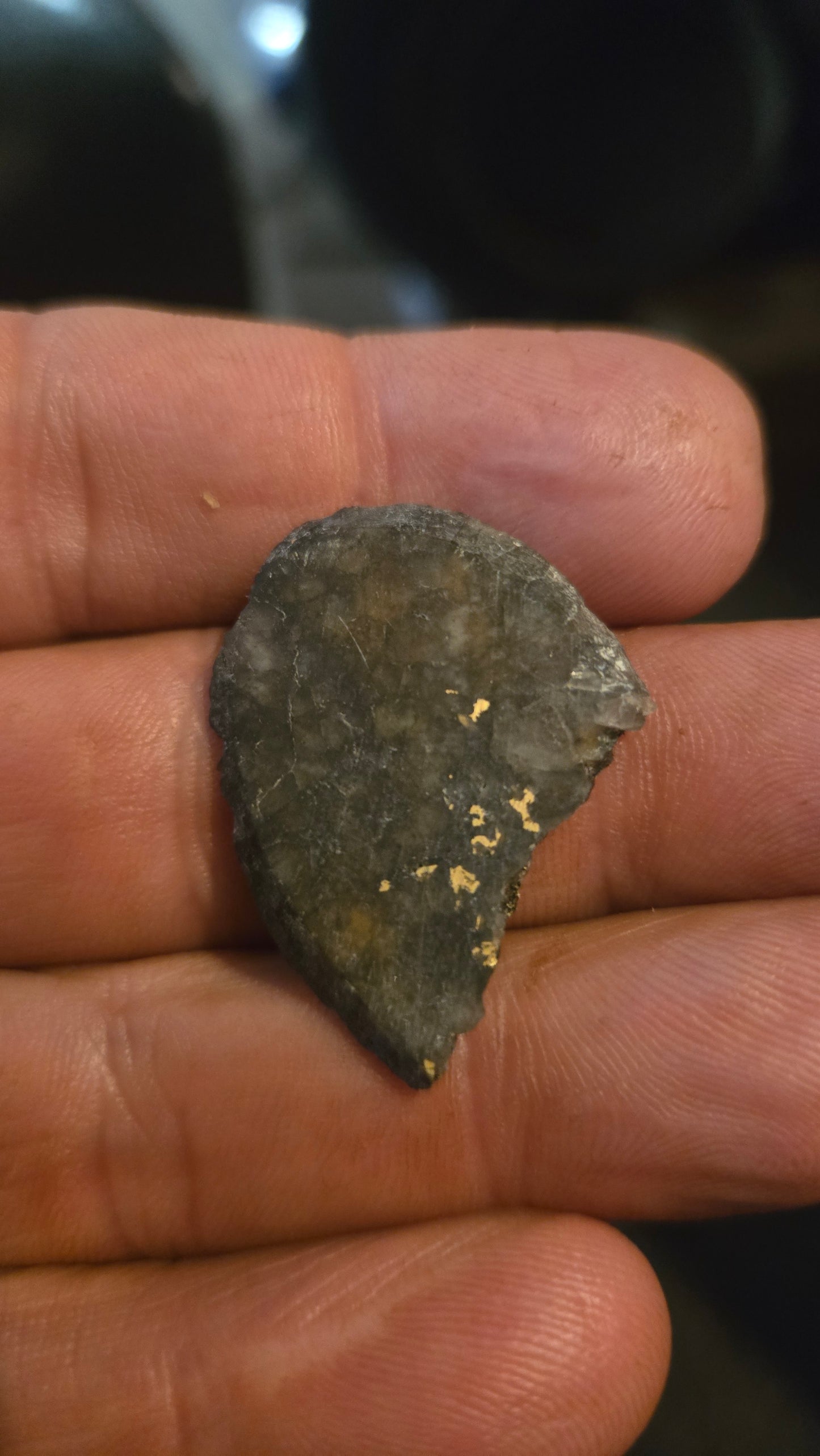 Oregon Gold-in-Quartz Slab - Chemically Enhanced Black Matrix 3.96 grams