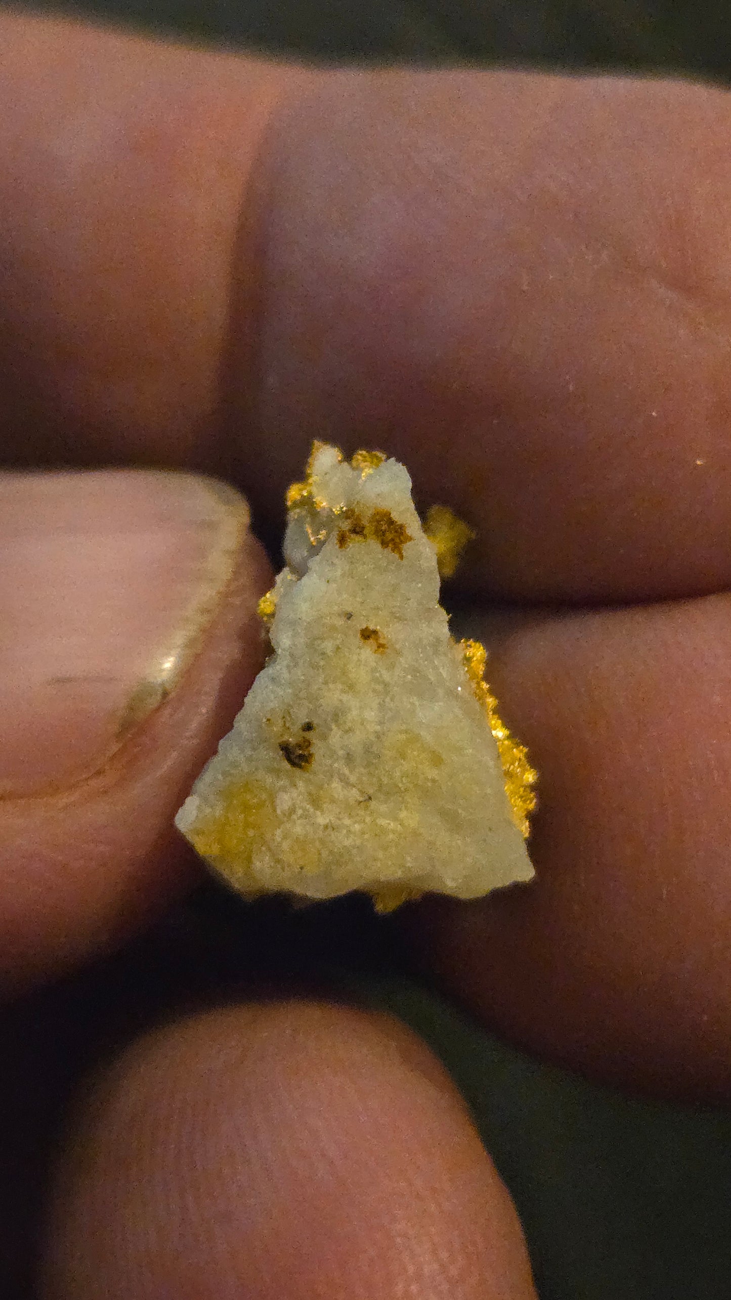 Self collected 4.39 grams gold and quartz from Californias Motherlode Vein