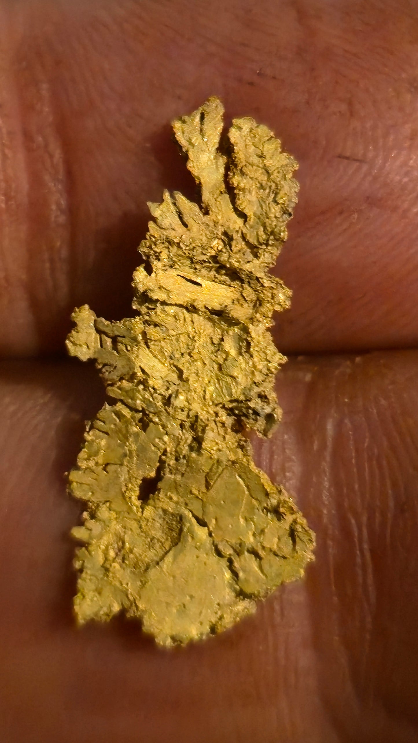 Museum-Quality Calaveras Crystalline Leaf Gold - 1.80 Gram Specimen