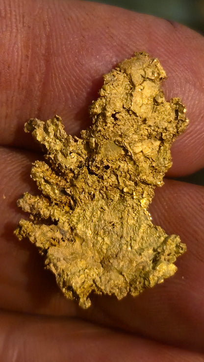 Museum-Quality Calaveras Crystalline Leaf Gold - 4.40 Gram Specimen