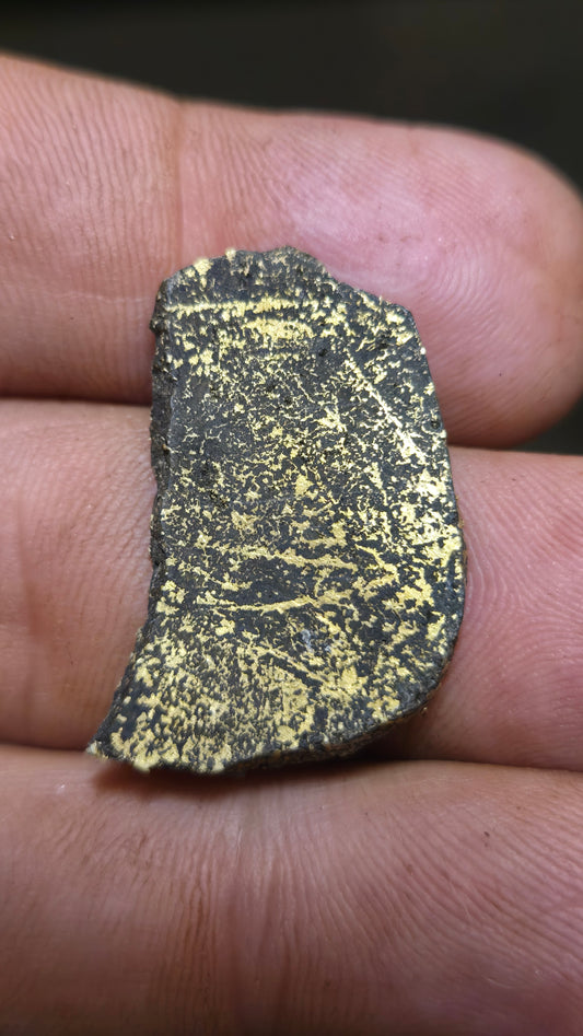Black quartz and gold slab - 4.49 grams - 2.36 mm