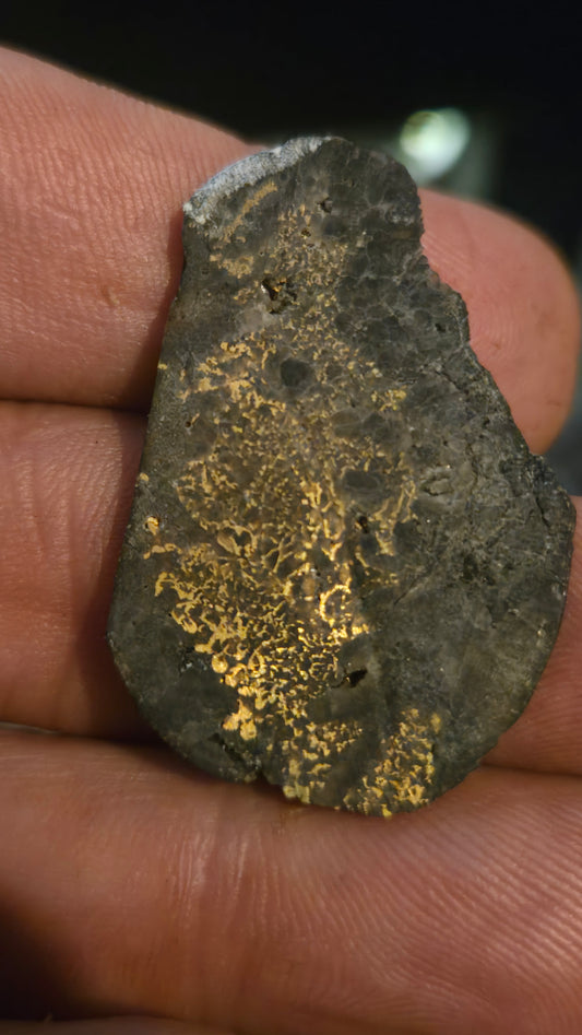 Natural Oregon Gold-in-Quartz Slab - Chemically Enhanced Black Matrix 5.74 grams