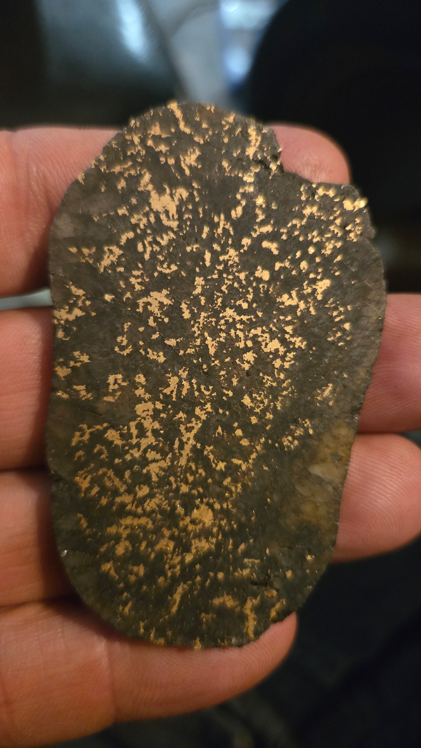 Oregon Gold-in-Quartz Slab - Chemically Enhanced Black Matrix 35.93 grams