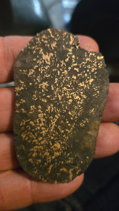 Oregon Gold-in-Quartz Slab - Chemically Enhanced Black Matrix 35.93 grams