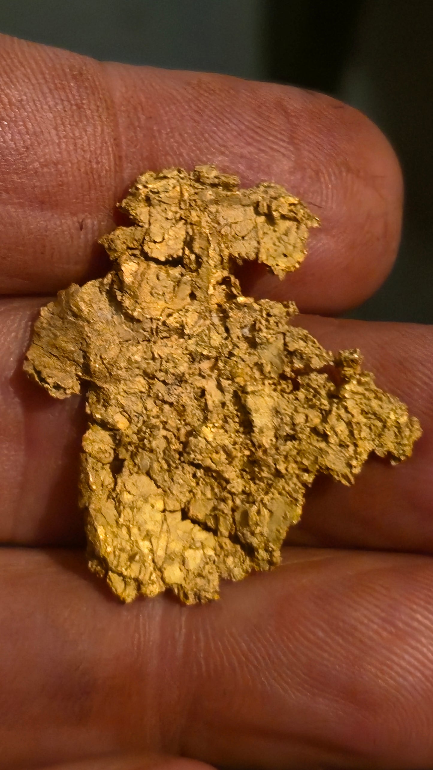 Museum-Quality Calaveras Crystalline Leaf Gold - 10.08 Gram Specimen