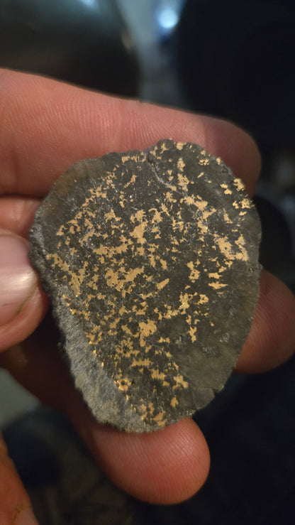 Natural Oregon Gold-in-Quartz Slab - Chemically Enhanced Black Matrix 14.09 grams