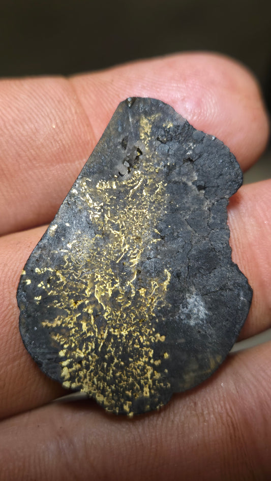 Black quartz and gold slab - 5.49 grams - 2.37mm