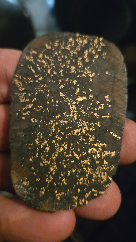 Oregon Gold-in-Quartz Slab - Chemically Enhanced Black Matrix 21.21 grams