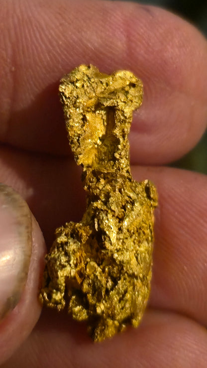 Museum-Quality Calaveras Crystalline Leaf Gold - 10.71 Gram Specimen